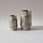 Vertical check valve